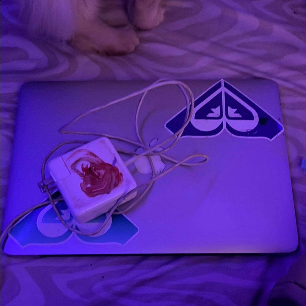 Silver Laptop with Stickers